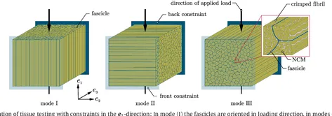 Compressibility Image