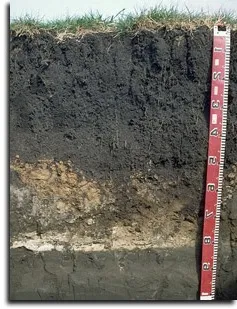 Clasificación del Suelo