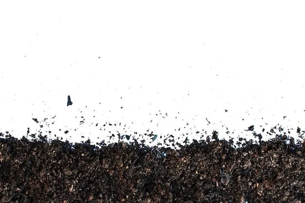 Composición del Suelo