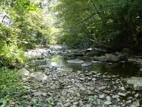 Competencia de Flujo