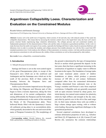 Más sobre Loess de Colapsibilidad Argentina: Caracterización y Evaluación del Módulo de Constricción