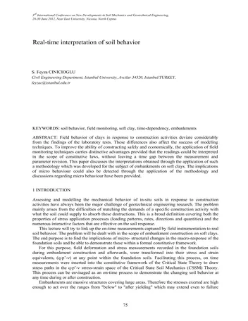 Más sobre Interpretación en Tiempo Real del Comportamiento del Suelo