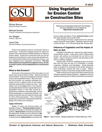 Más sobre Uso de Vegetación para el Control de la Erosión en Sitios de Construcción.